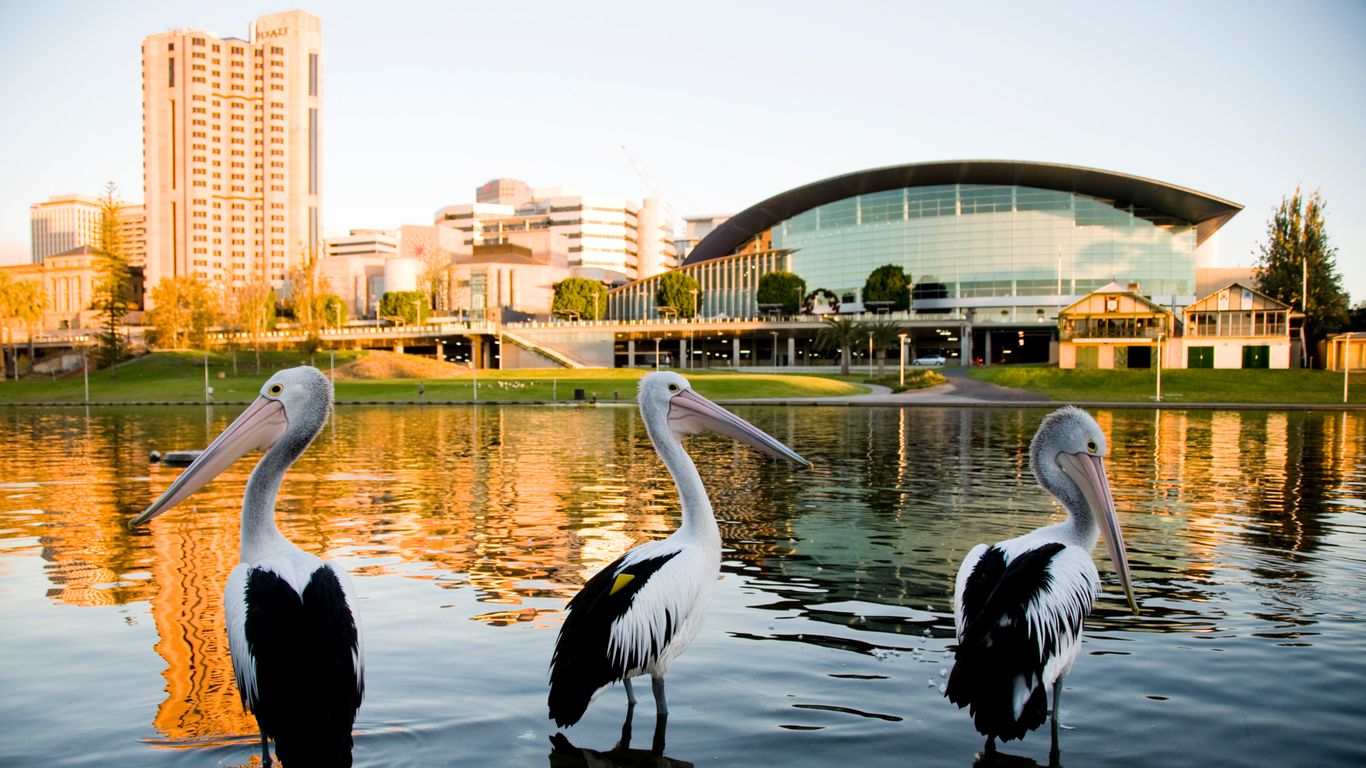 Flüge nach Adelaide