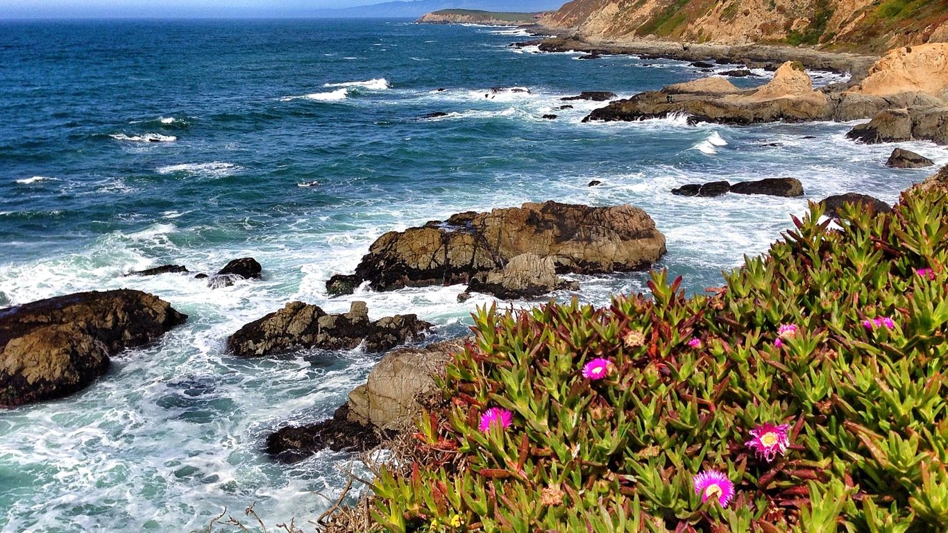 Vacaciones en Bodega Bay