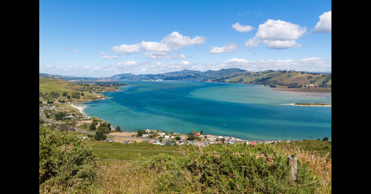 Thrifty Hire Cars at Dunedin Airport from 46/day KAYAK