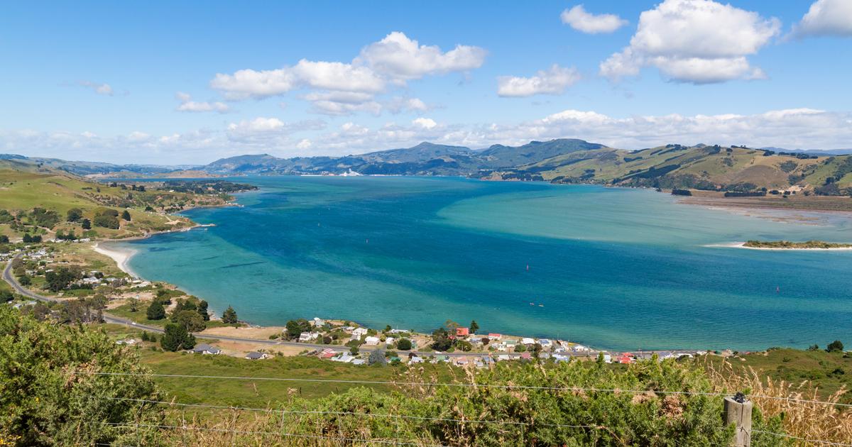 cheap-flights-from-auckland-to-dunedin-from-54-kayak