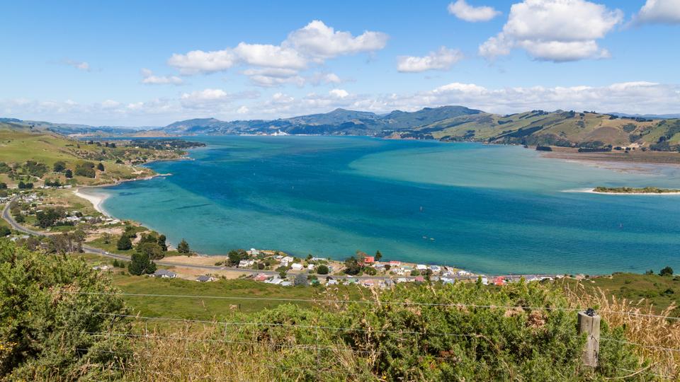 Car Rentals in Dunedin from 44/day Search for Rental Cars on KAYAK