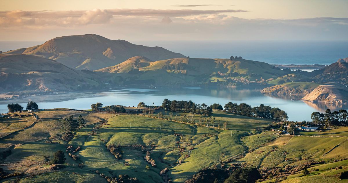 Cheap Flights To Dunedin From 559 Cheapflights au Cheap flights to dunedin from 559 cheapflights au