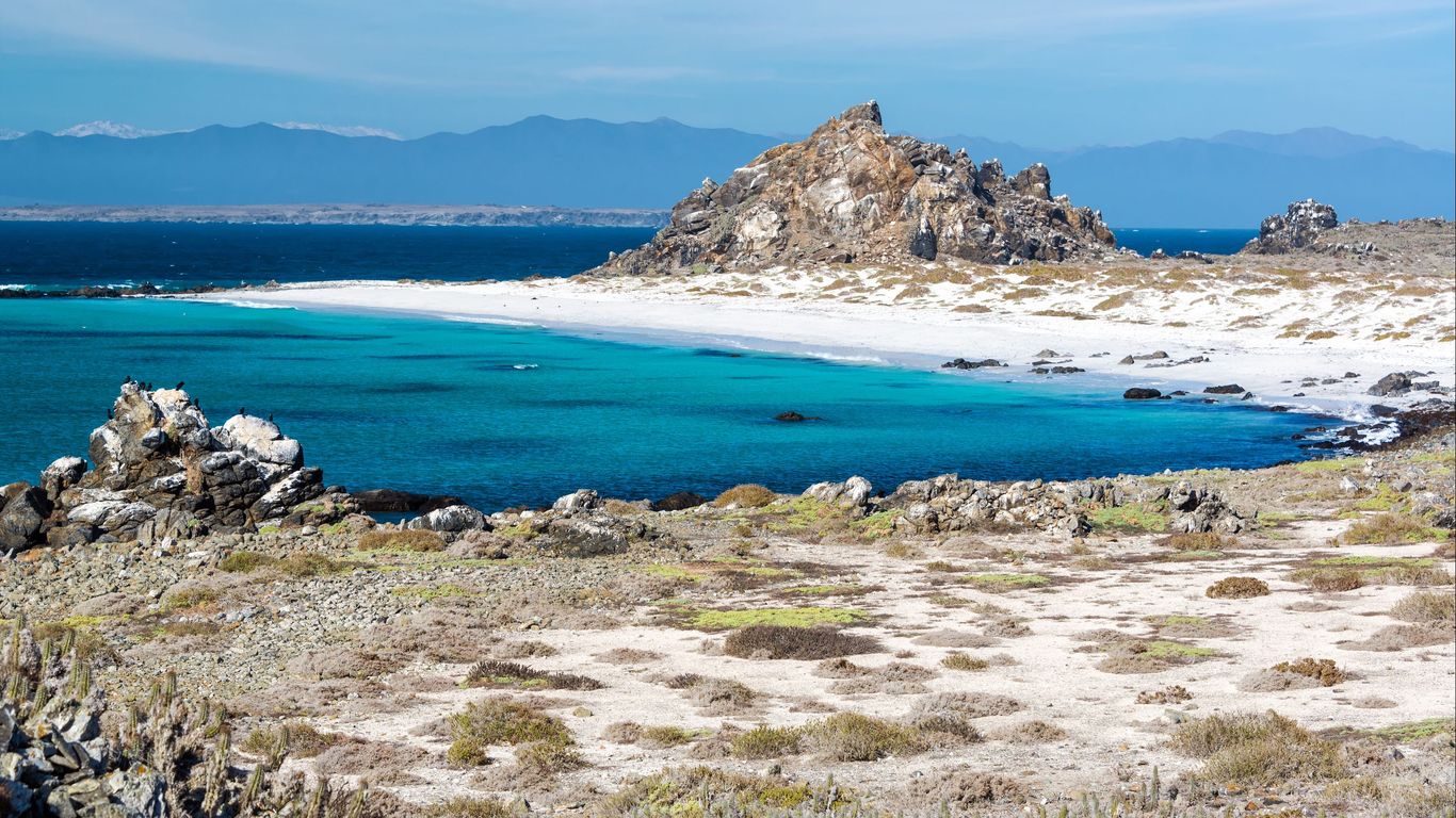Hotels in Punta de Choros