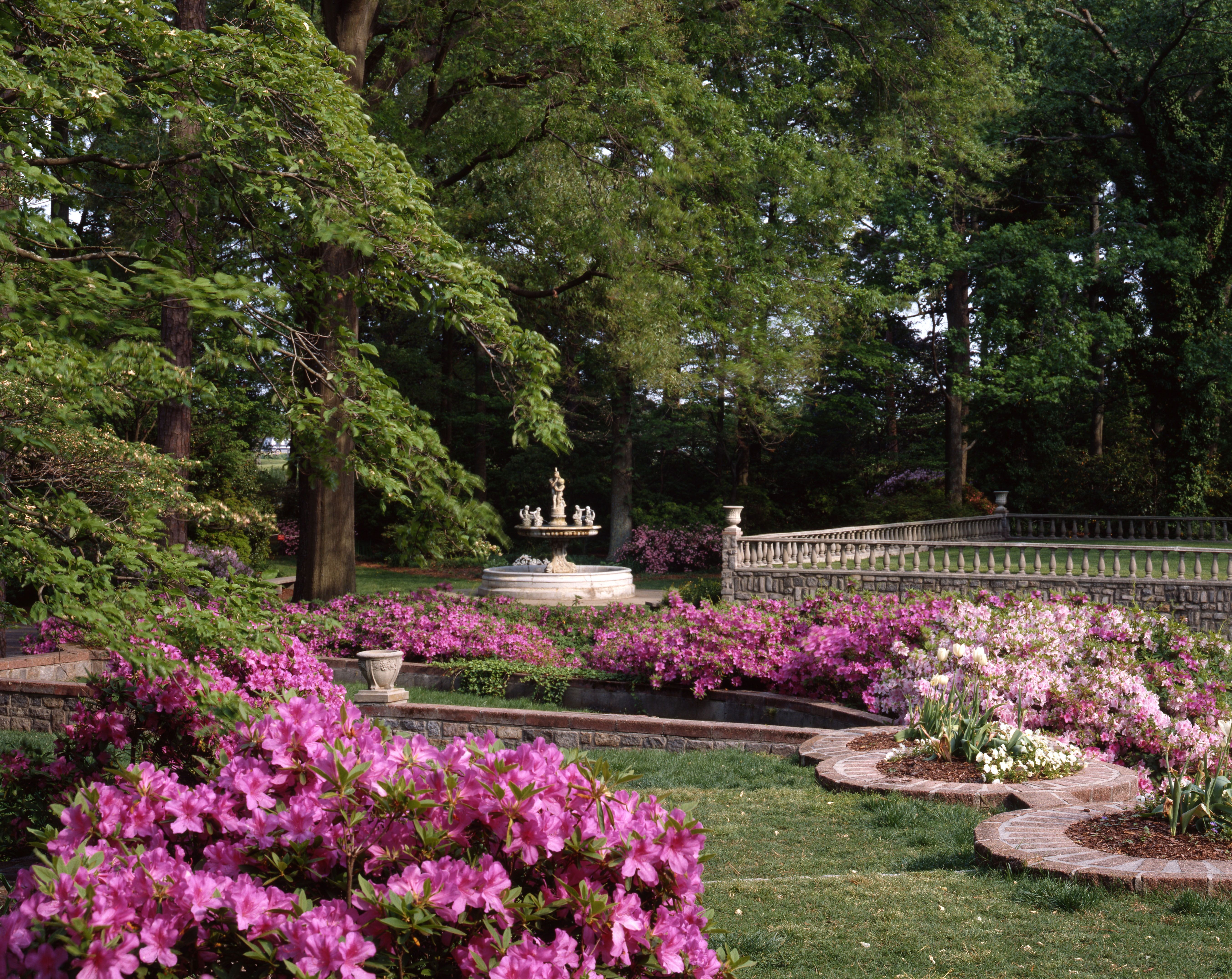 Cheap Car Rentals in Airport / Botanical Garden, Norfolk from 8/day