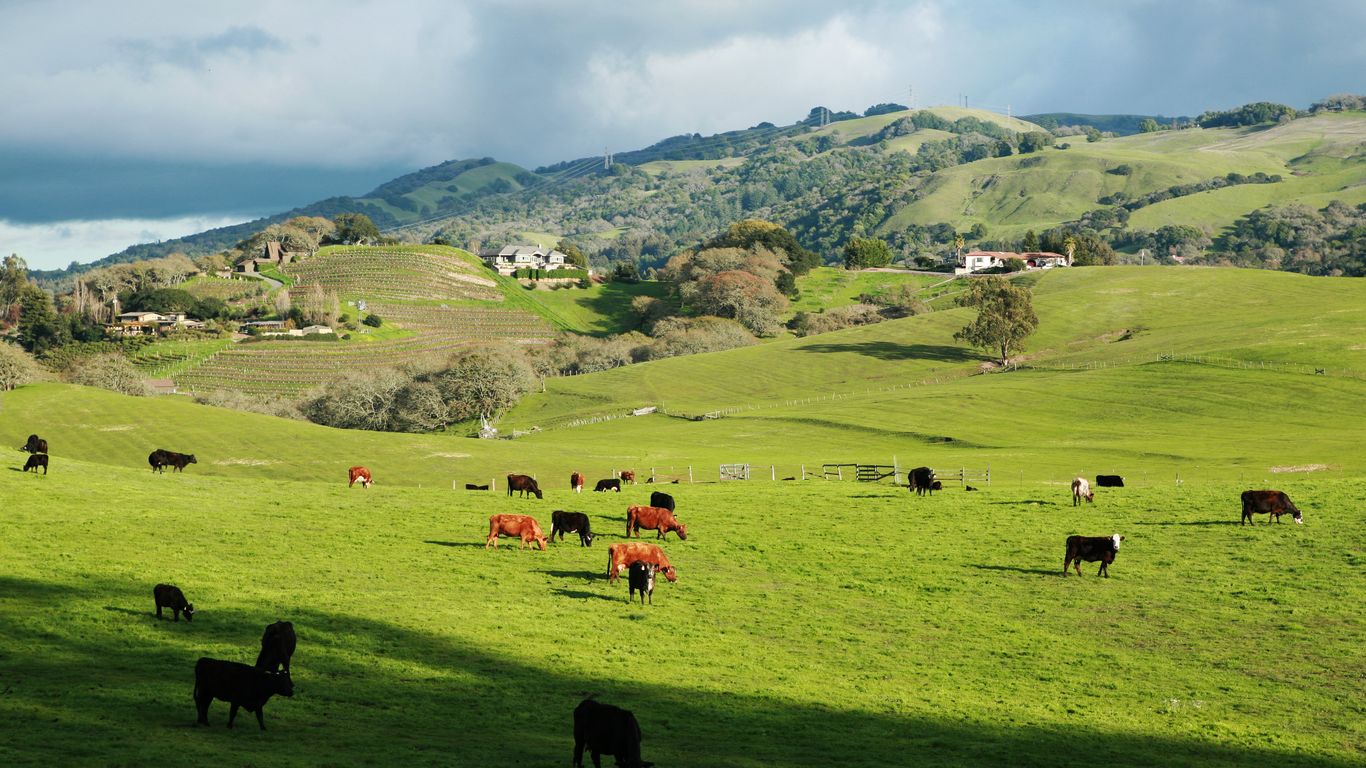 Urlaube in Rohnert Park