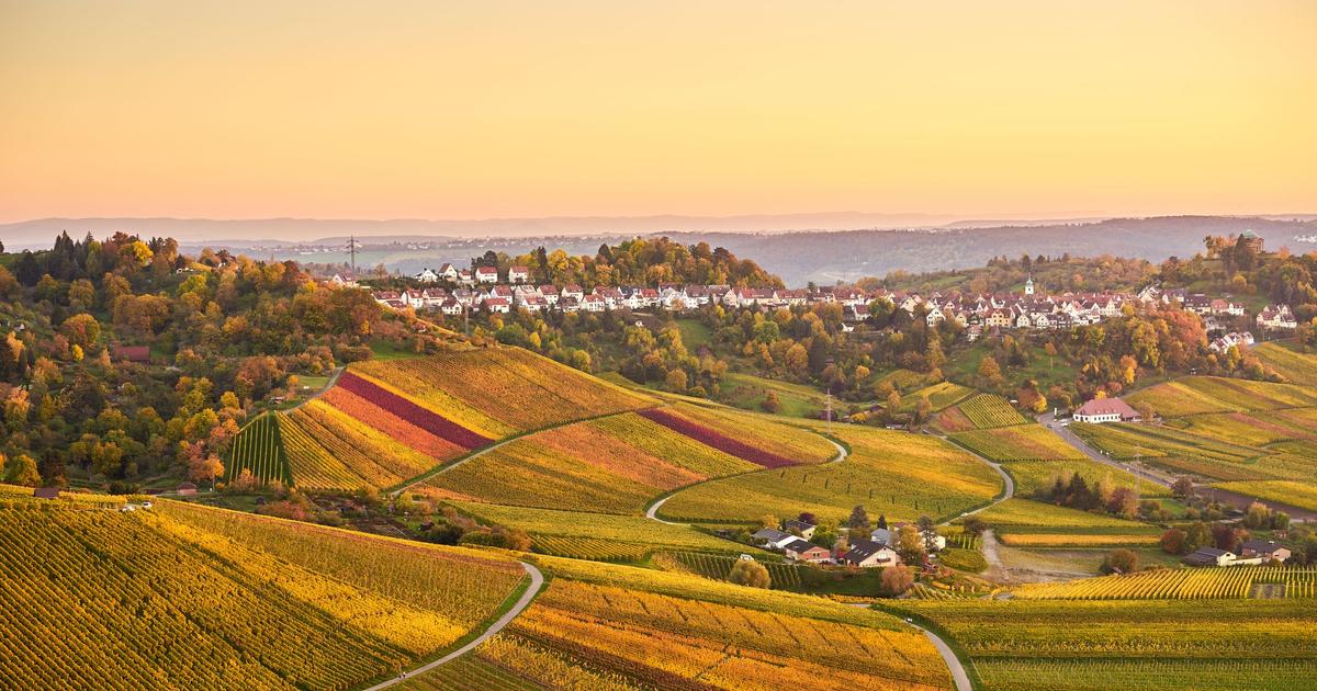 シュトゥットガルトの人気ホテル16軒 お得な1泊 4 186 Kayak カヤック