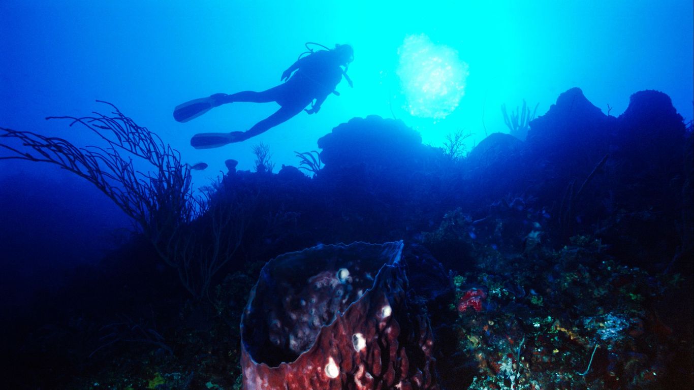 Flights to Bimini & Cat Cay