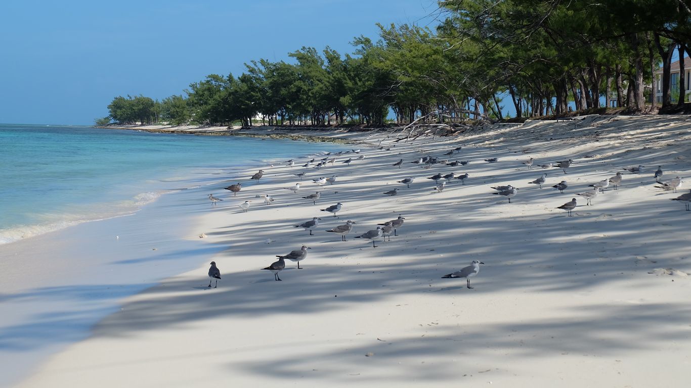 Hotellit Bimini