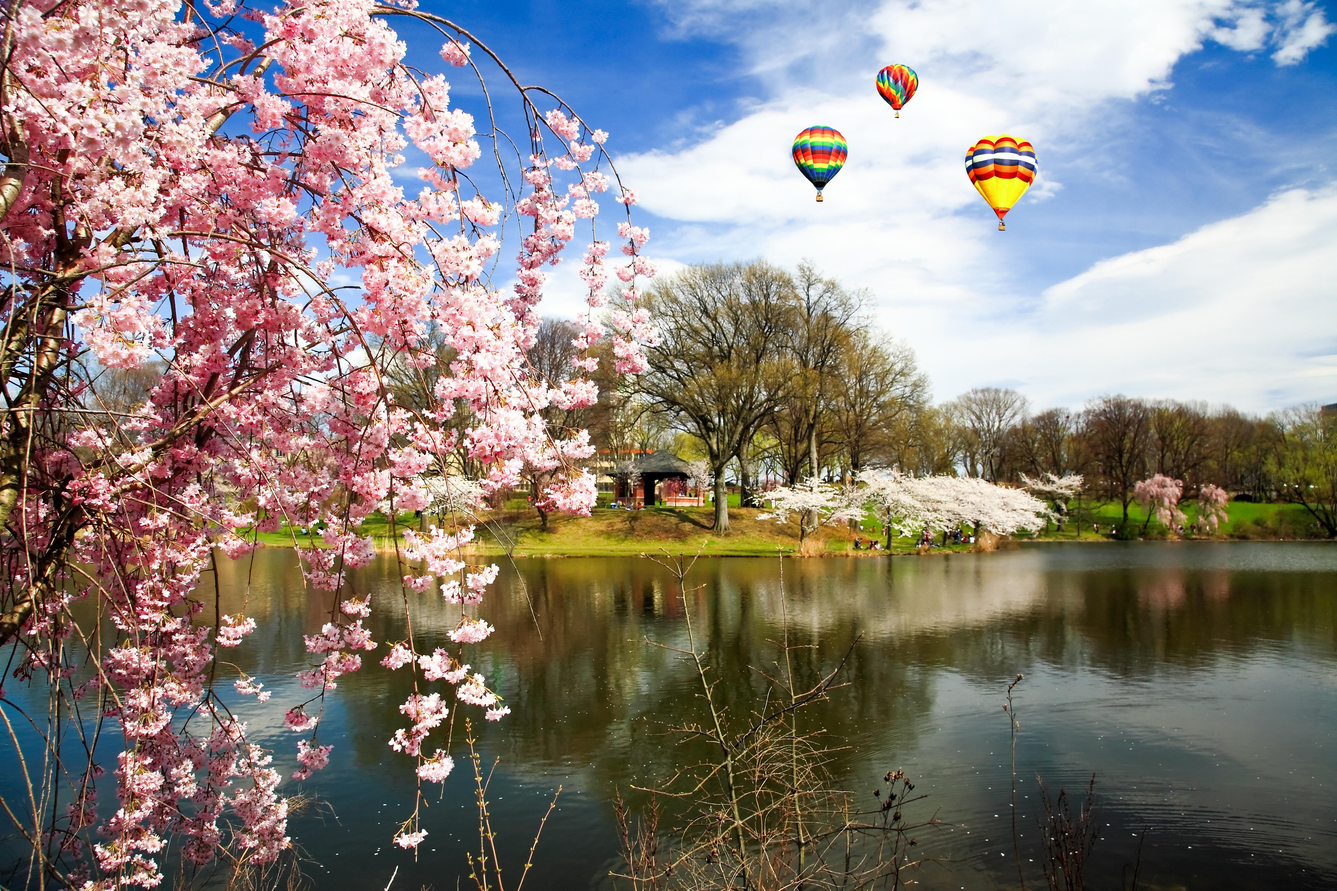 Flights from new orleans to 2024 newark nj