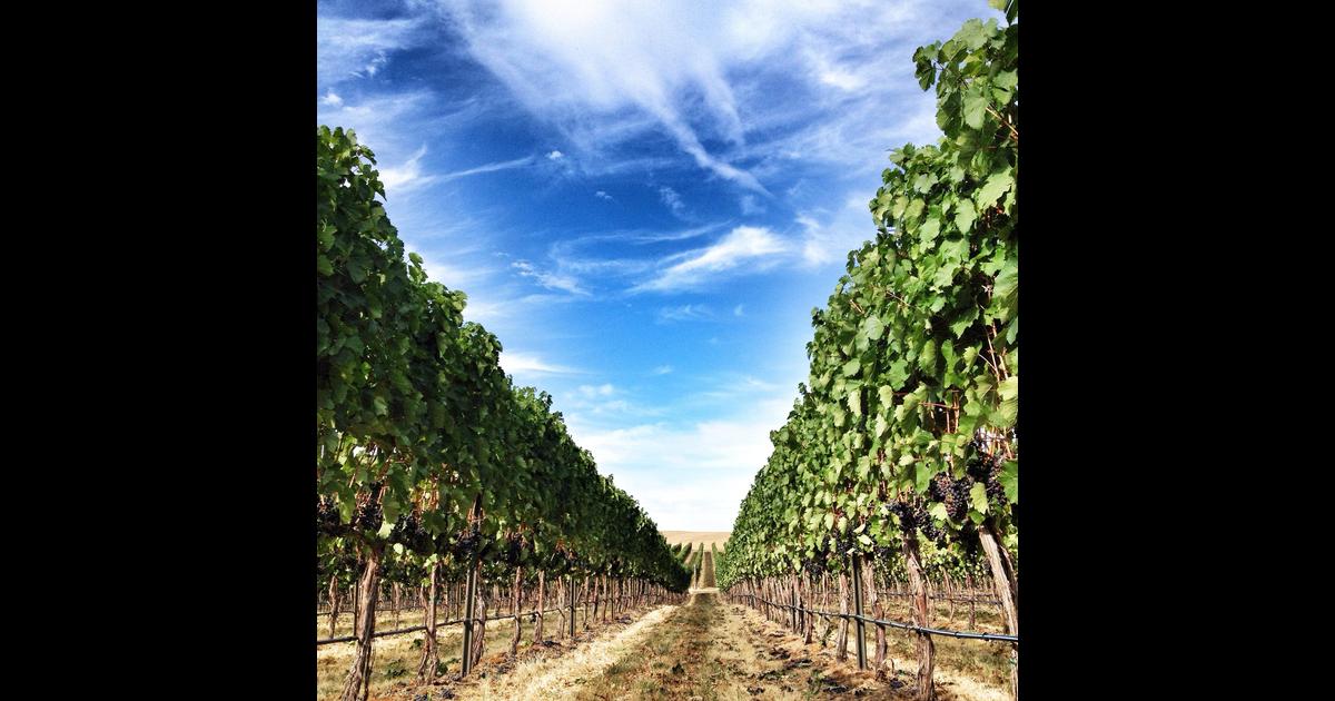 250 Cheap Flights from Portland to Walla Walla in 2024 momondo