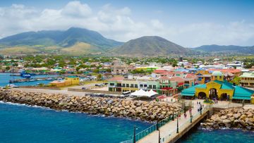 $139 CHEAP FLIGHTS to Saint Kitts and Nevis | KAYAK