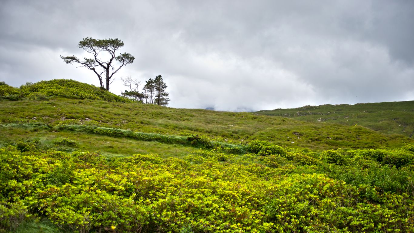 Hoteles en Leenaun