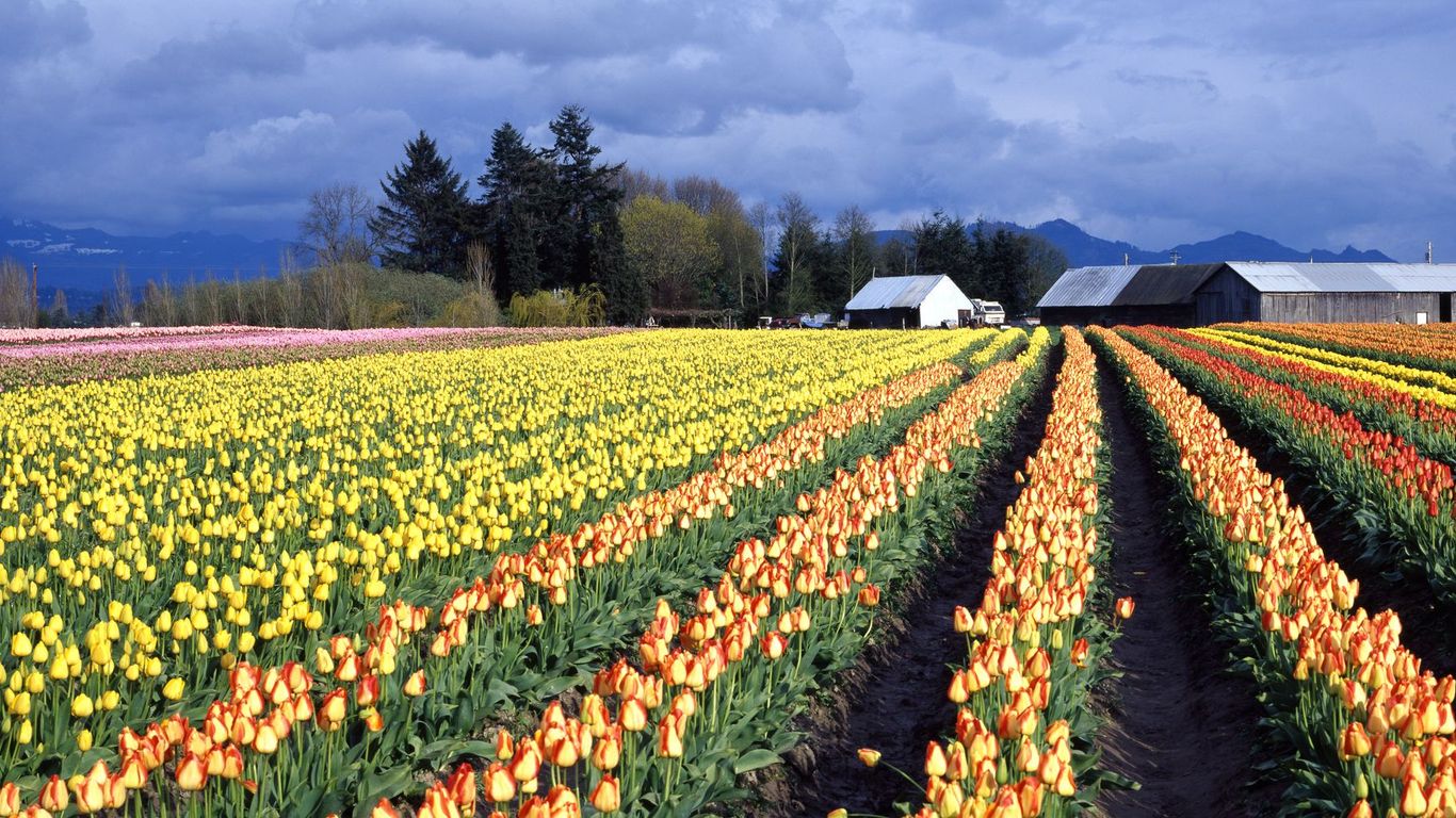Hotels in Washington