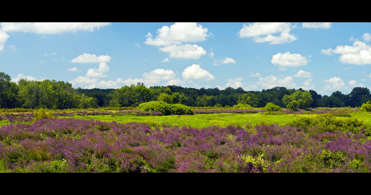 Hertz Car Rentals in Terre Haute KAYAK