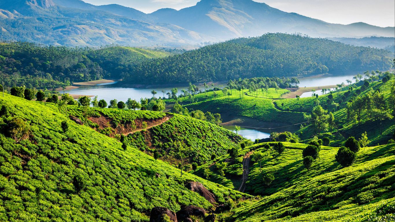 Hotels in Munnar