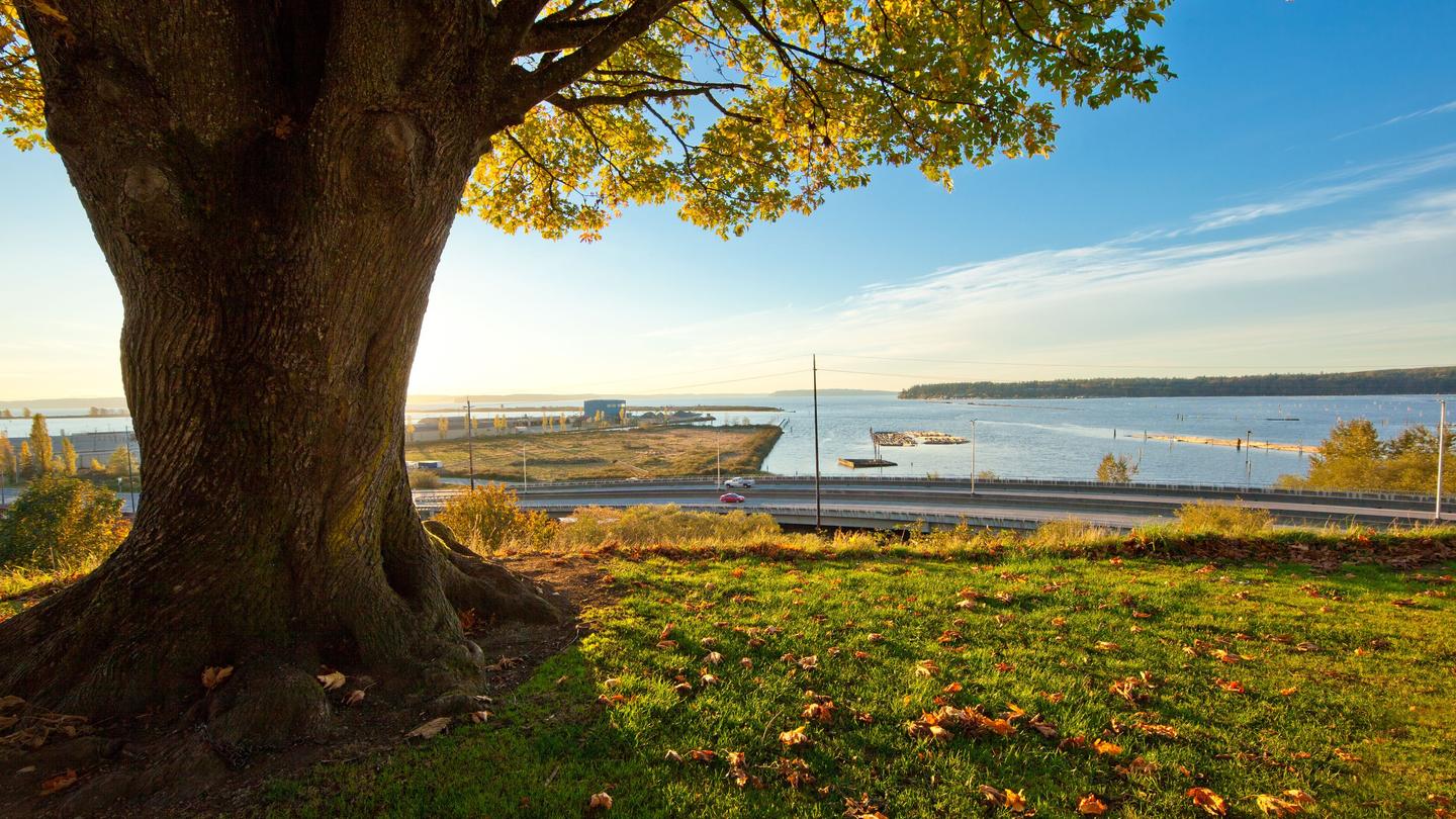 Motels in Everett from $69/night - KAYAK