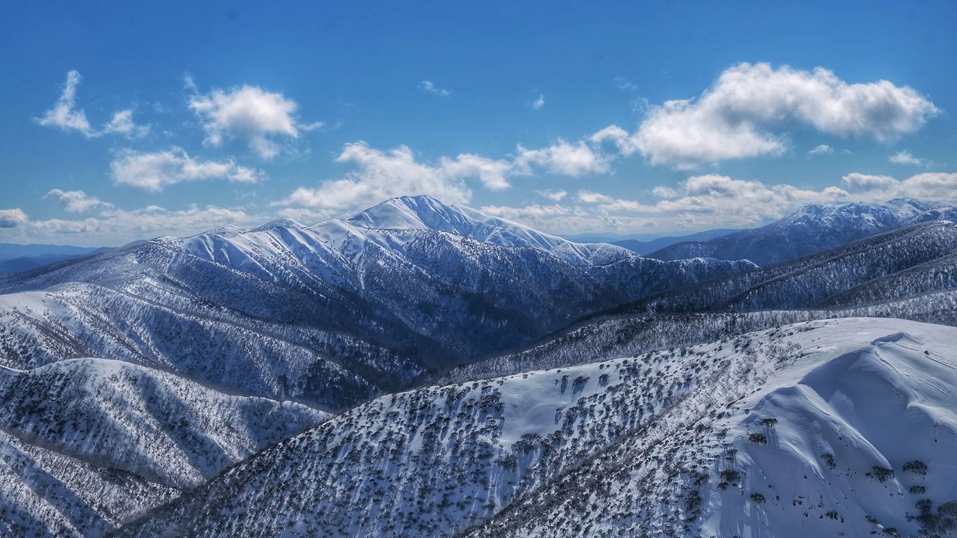 Hotels in Hotham Heights