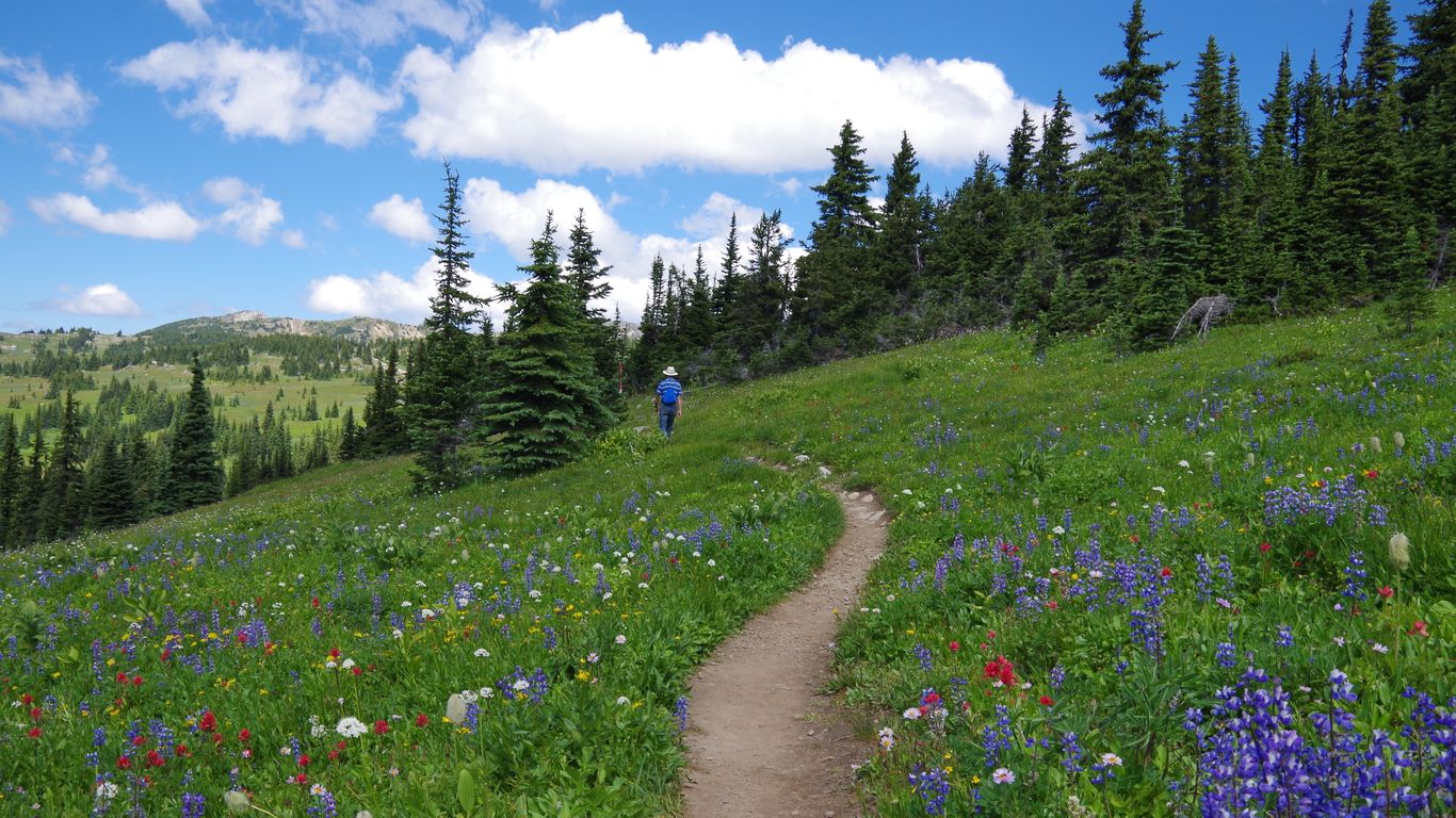 Hotels in Manning Park