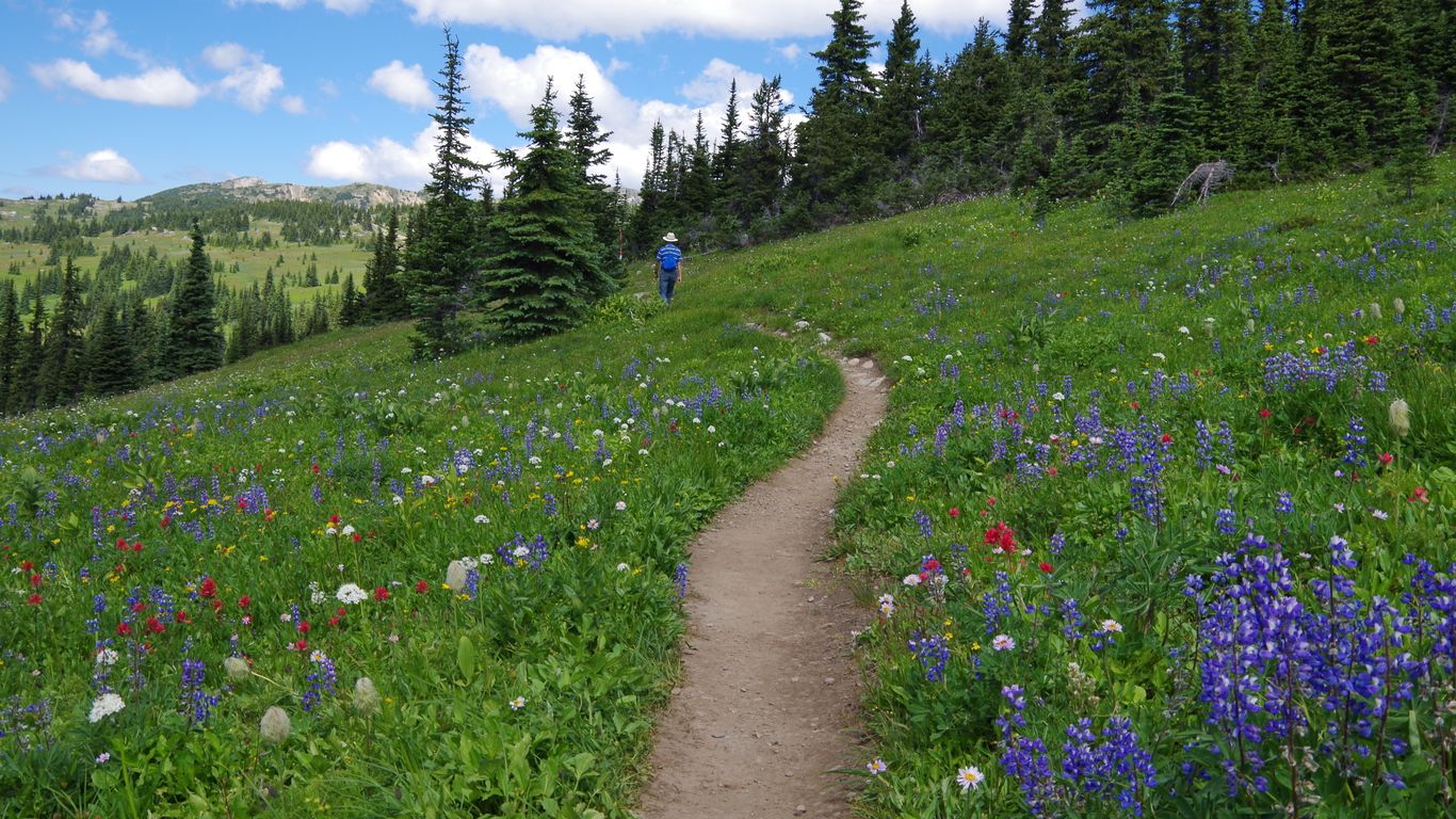 Hotels in Manning Park