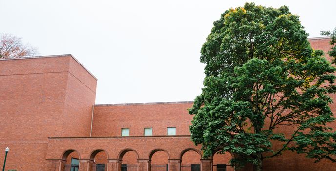 Jordan Schnitzer Museum of Art