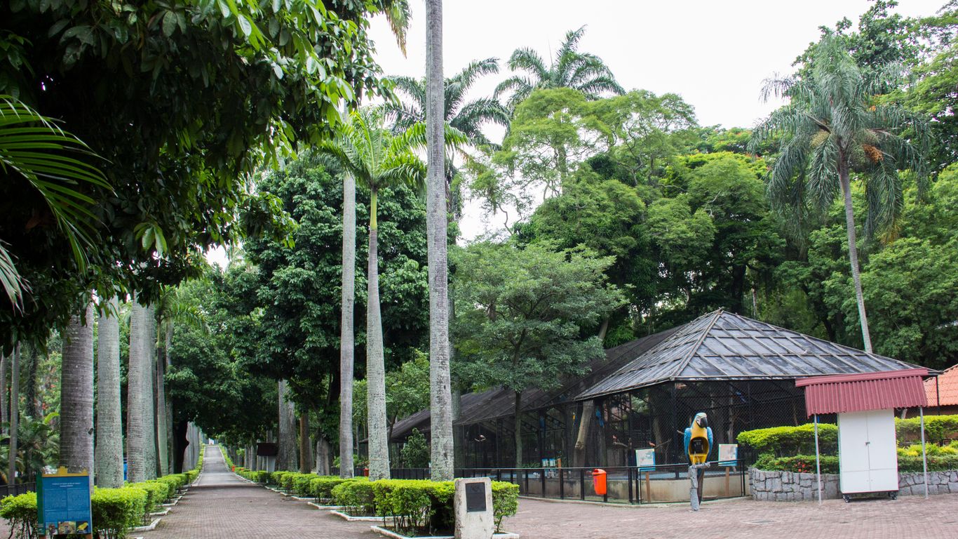 São Cristóvão São Cristóvão