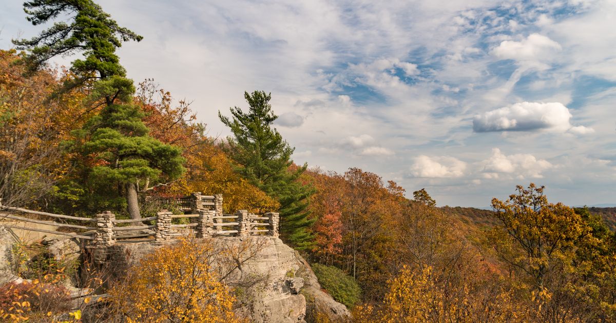 16 Best Hotels in Masontown, West Virginia KAYAK