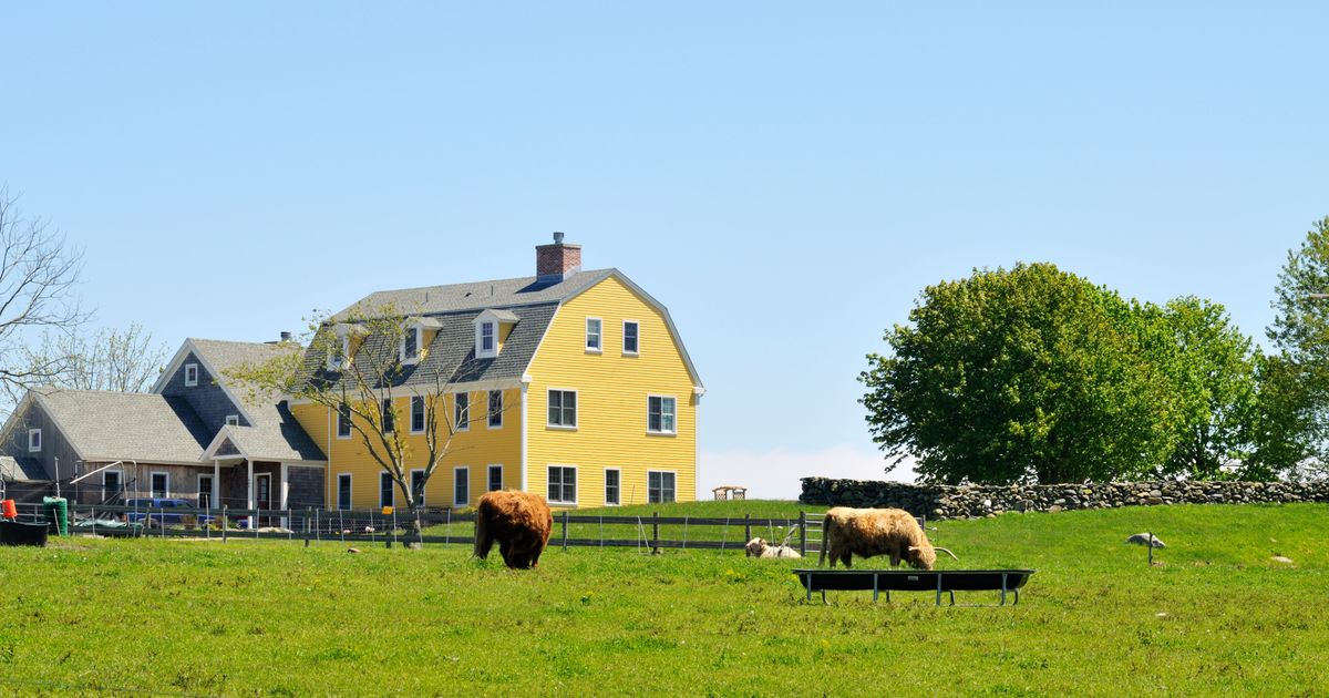 Jimstown Jamestown Travel Guide | Jamestown Tourism - KAYAK