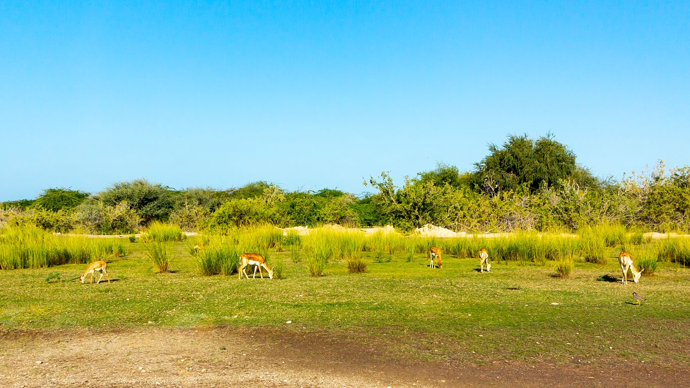 Hôtels à Sir Bani Yas