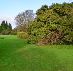 English Garden