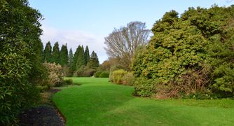 English Garden