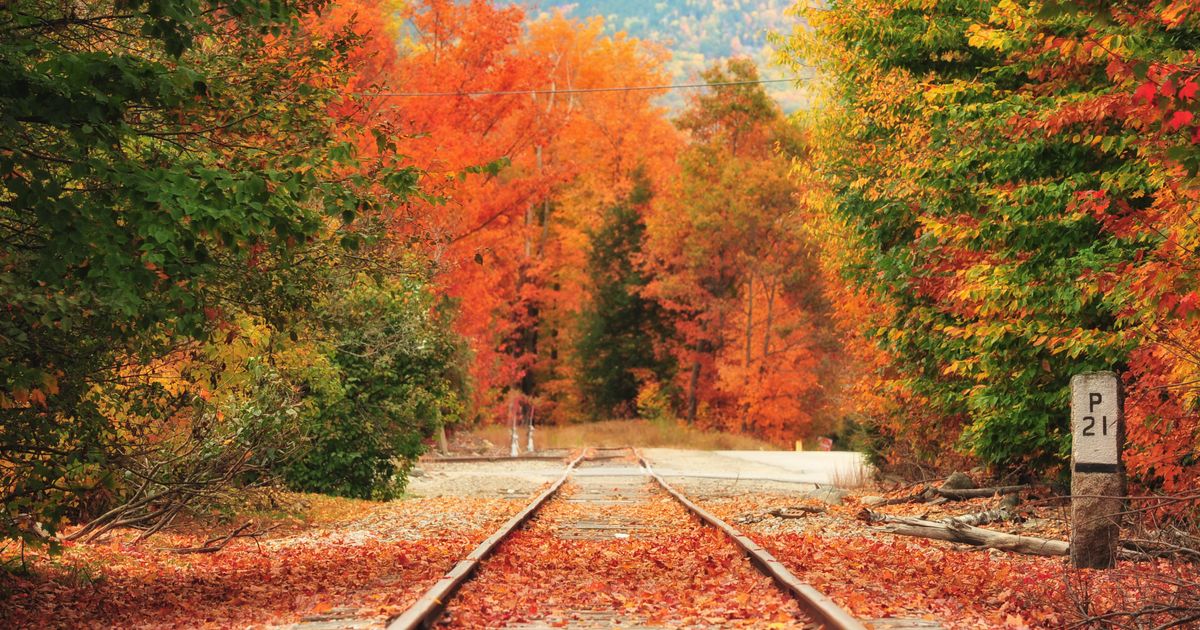 13 Best Hotels in Lincoln, New Hampshire. Hotels from 74/night KAYAK