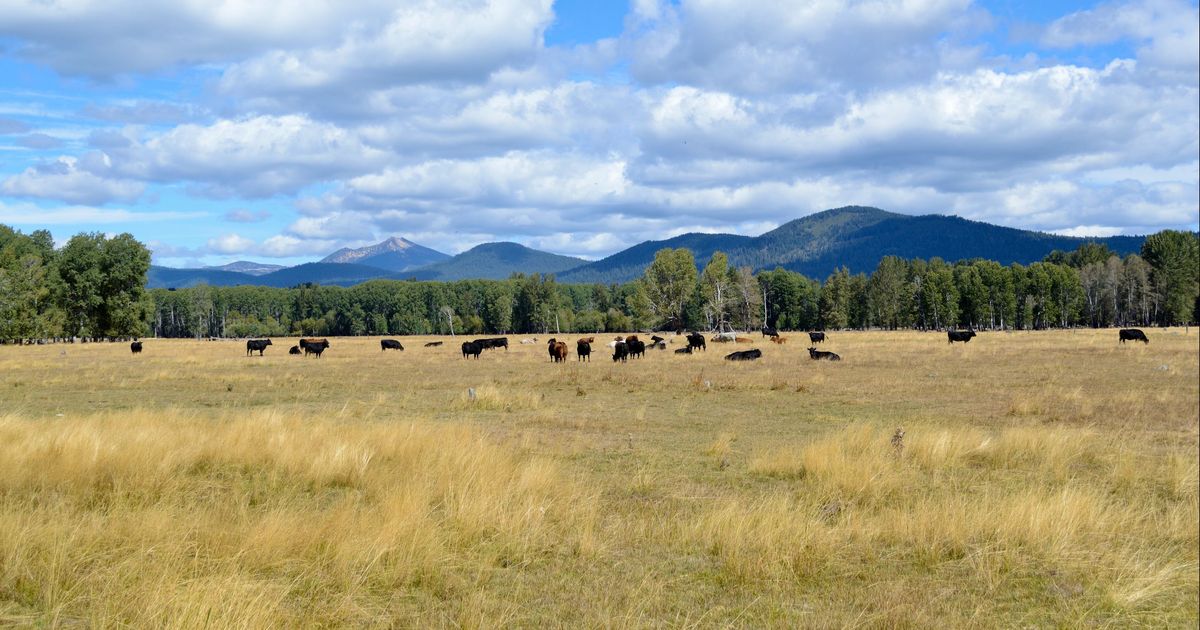 Chiloquin Travel Guide Chiloquin Tourism KAYAK