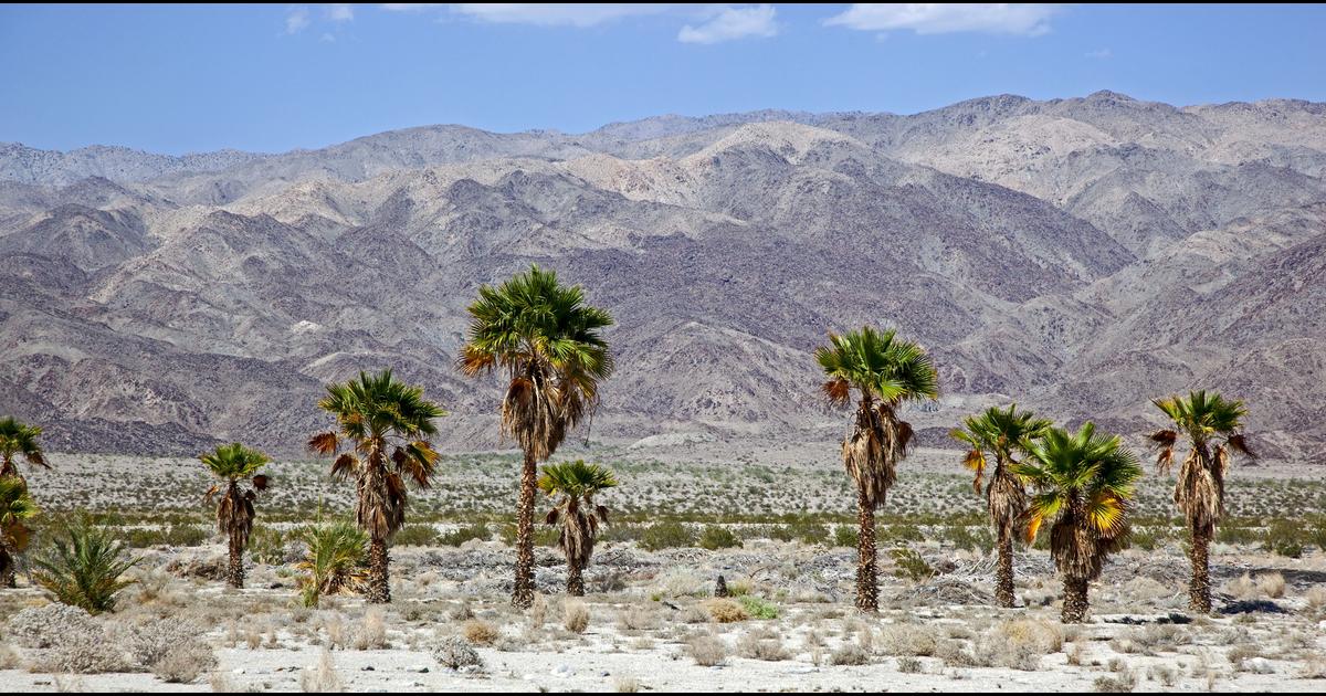 Cheap Car Rentals in Indio, CA from just 33 momondo
