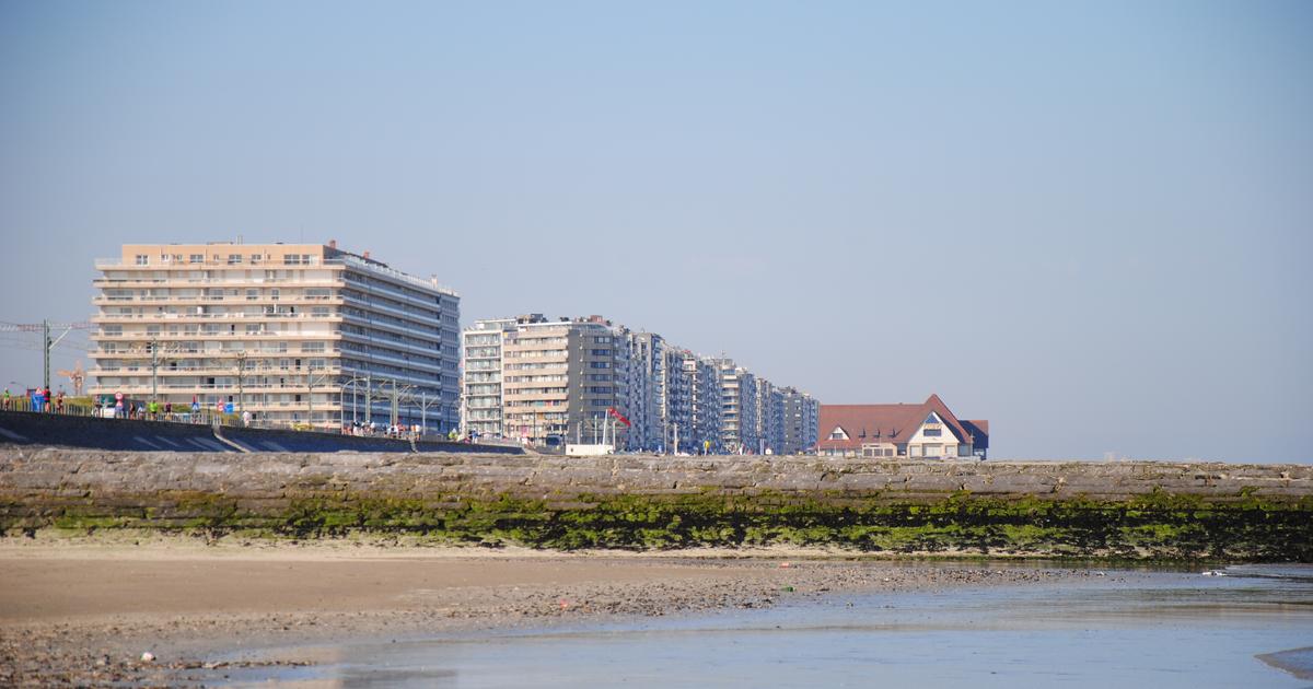 Get Strand themenzimmer dekor leben Free HD Strand Themenzimmer Dekor Leben