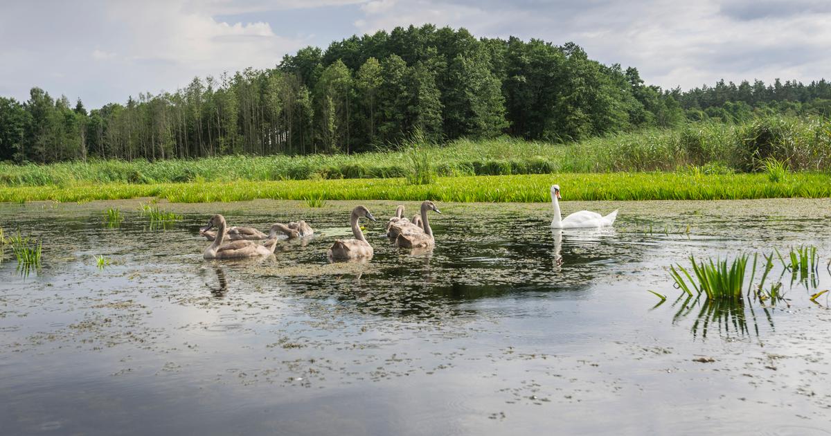 ReiseGuide für RucianeNida Tourismus in RucianeNida KAYAK