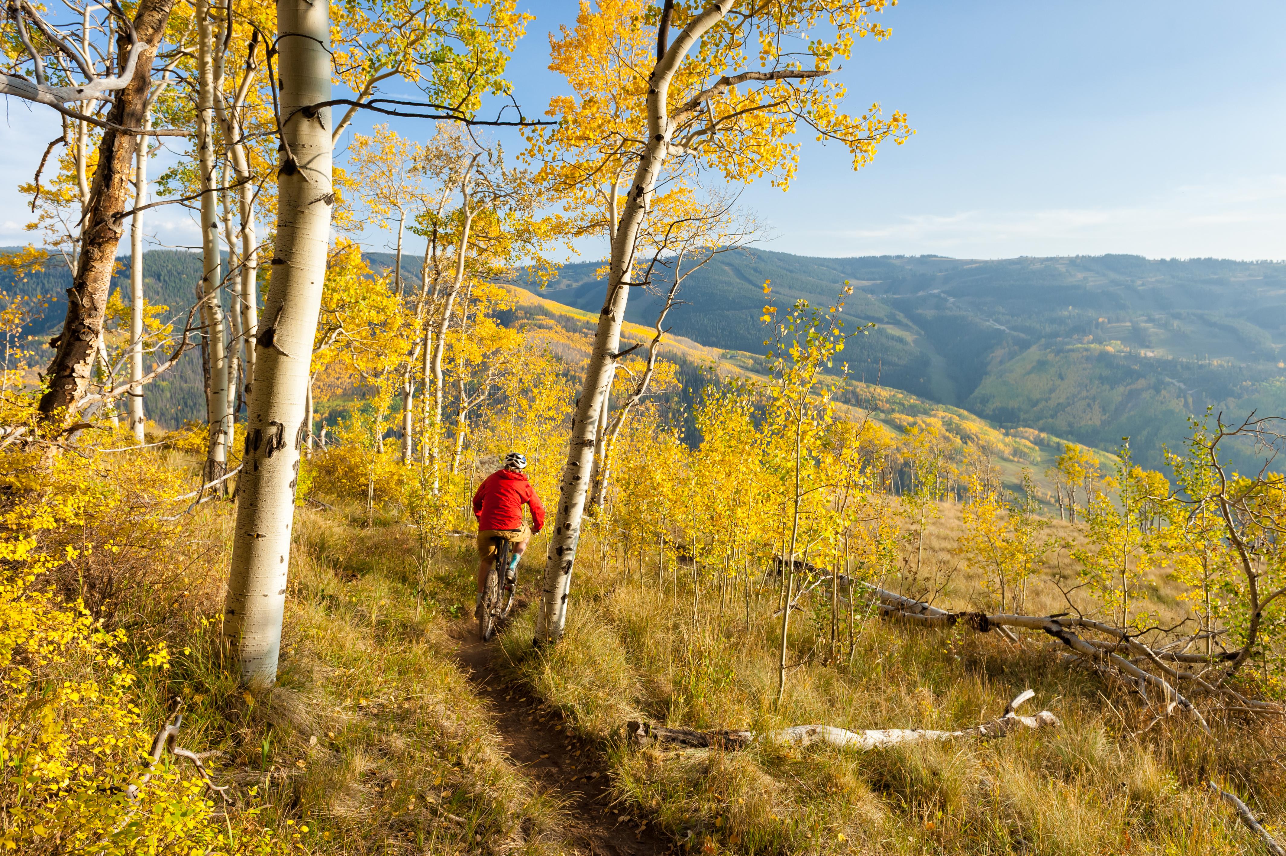 Car Rental At Aspen Pitkin County Airport From 37 Day KAYAK   6a324025 City 2069 16e949c9c2b 