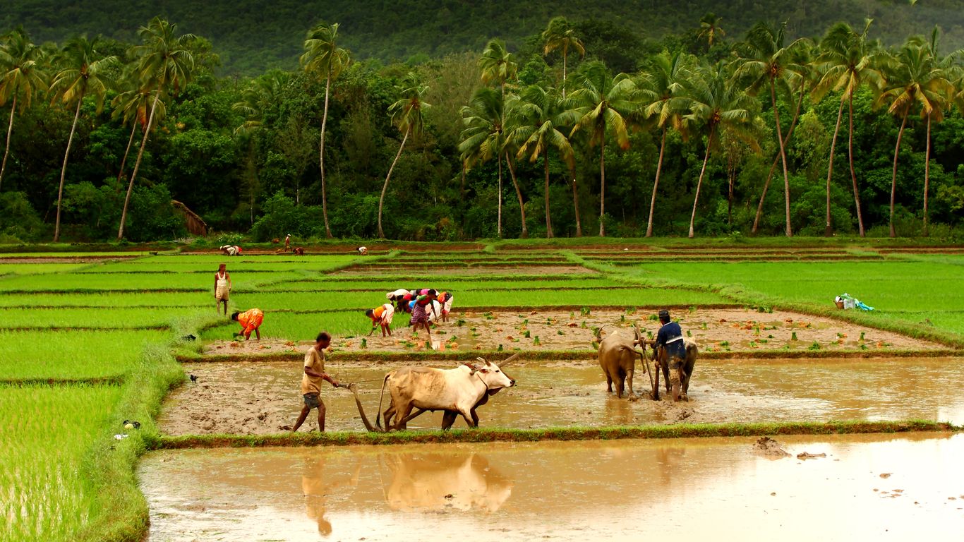 Hotels in Karwar