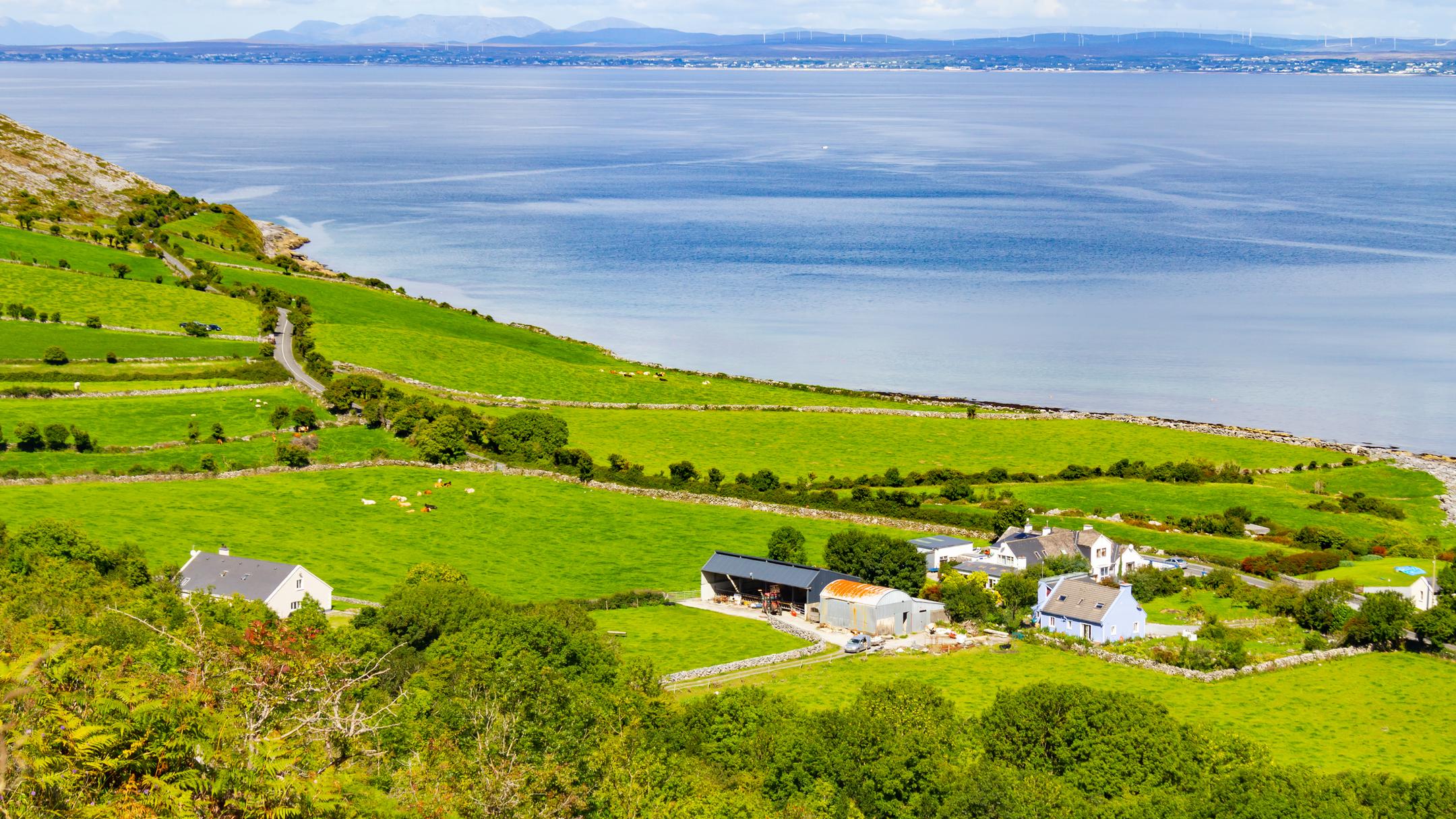 Bed & Breakfasts in Ballyvaughan ab 118 €/Nacht KAYAK Bed & Breakfasts in Ballyvaughan ab 118 €/Nacht KAYAK