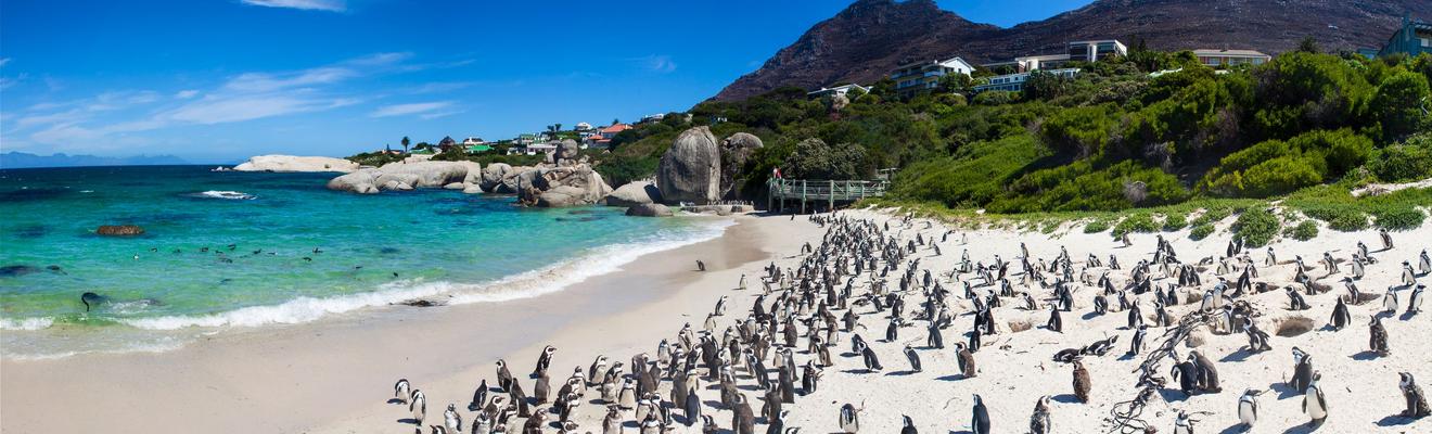 Cape Town hotels