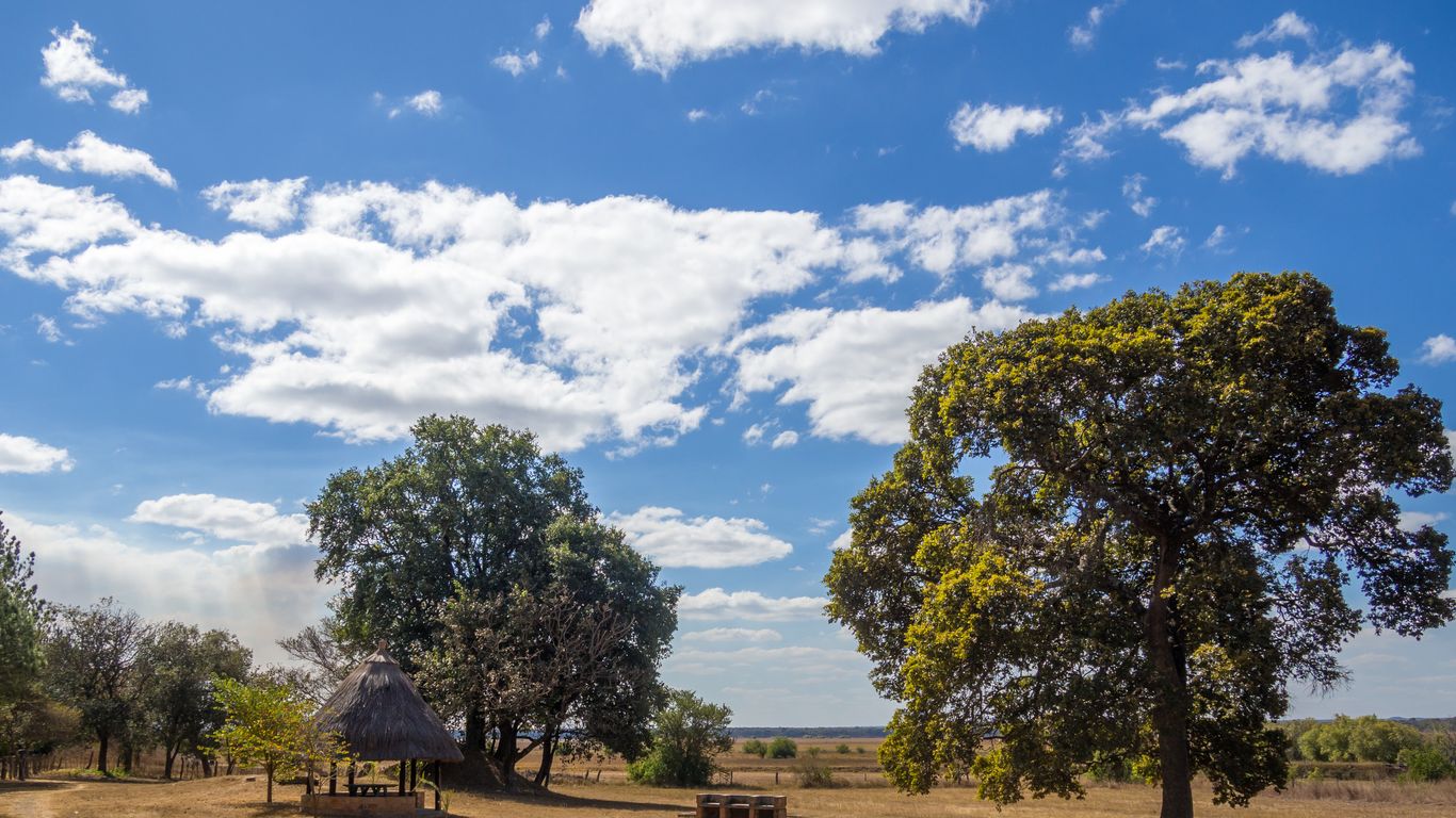 Semestrar i Zambia