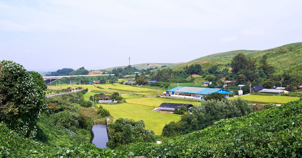 Find Seosan bed & breakfasts deals | momondo