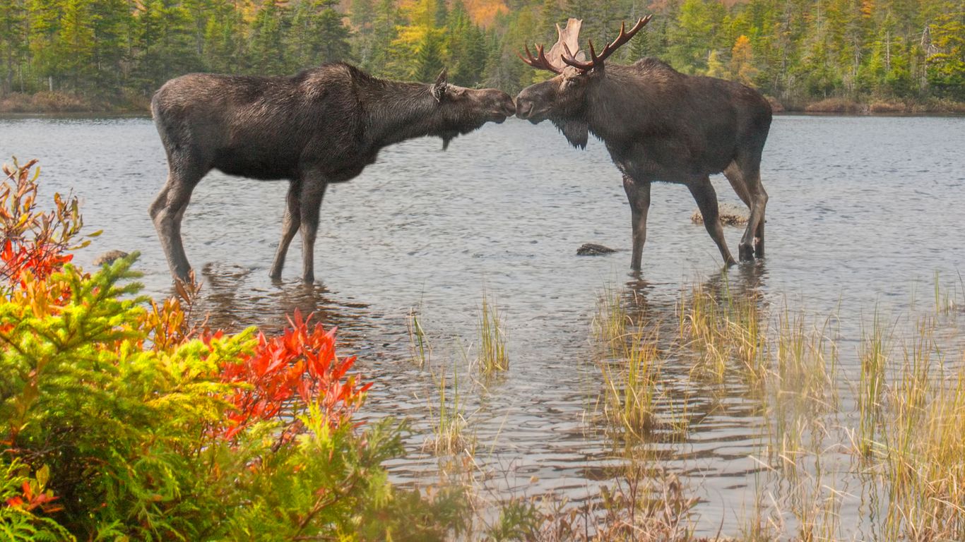 Holidays in Maine