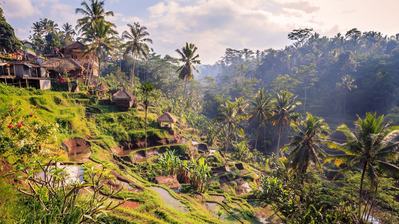 Hotels in Payangan