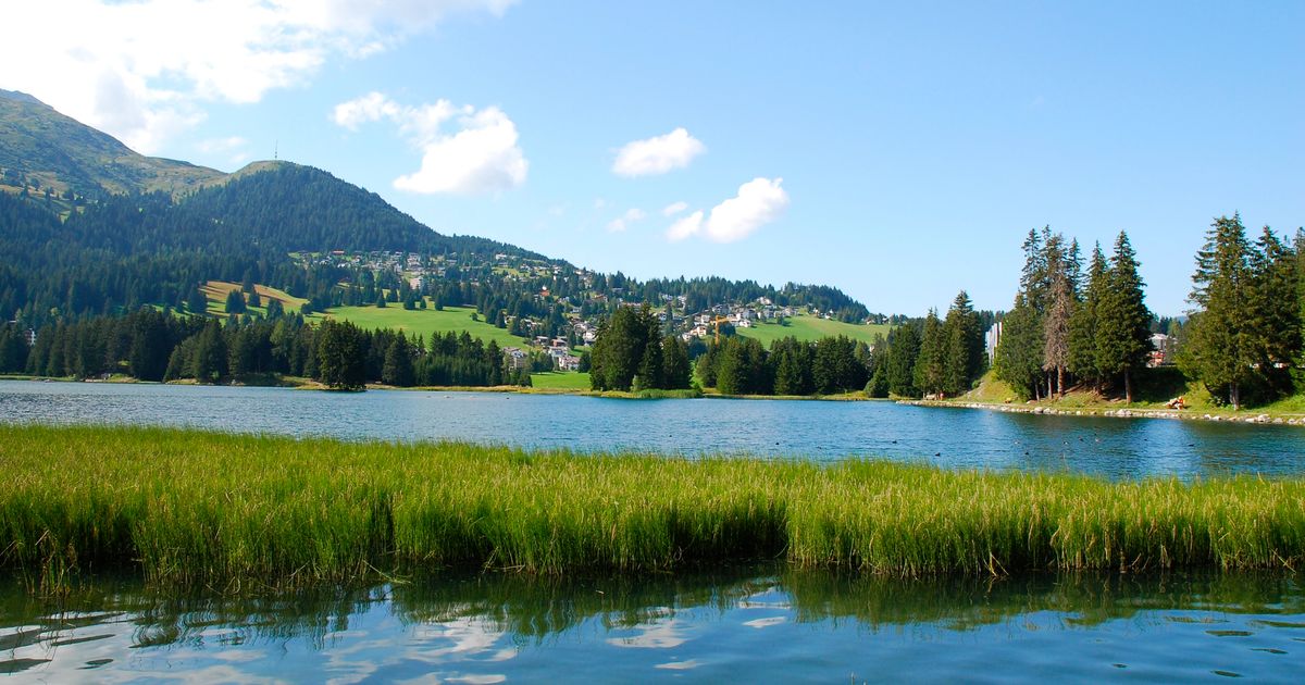 ReiseGuide für Lenzerheide Tourismus in Lenzerheide KAYAK