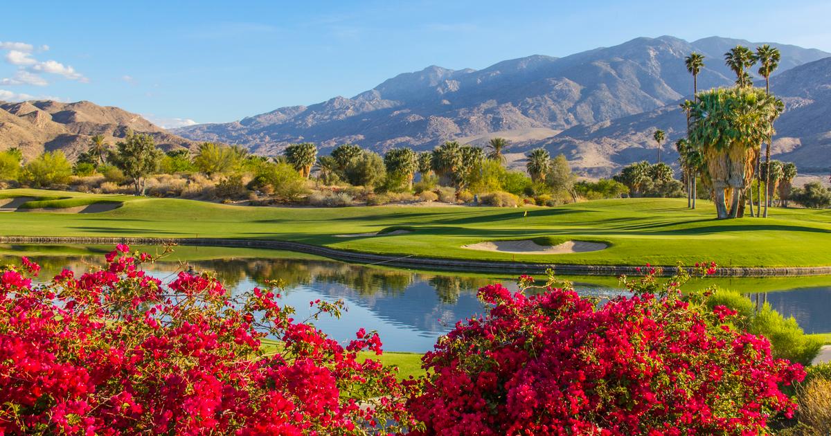 Hotels in Palm Springs ab 49 € Finde günstige Hotels mit momondo