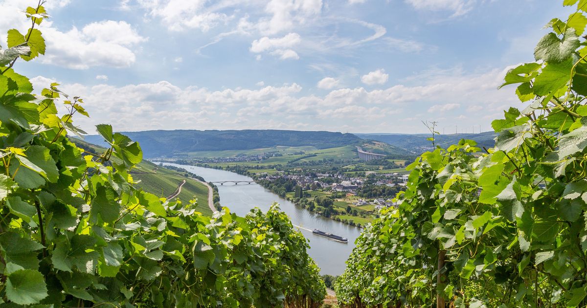 Reise-Guide für Schweich | Tourismus in Schweich – KAYAK