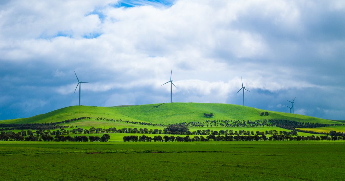 Find Burra bed & breakfasts deals | momondo