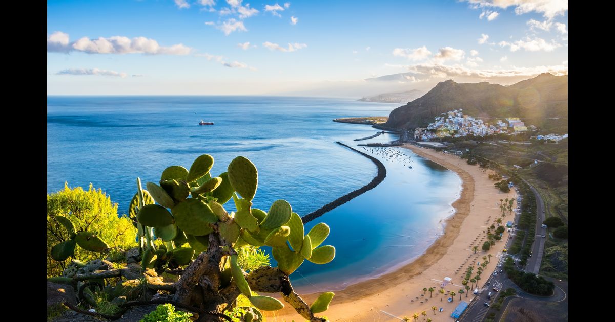 Cheap Flights to Tenerife South Airport (TFS) from £32 KAYAK