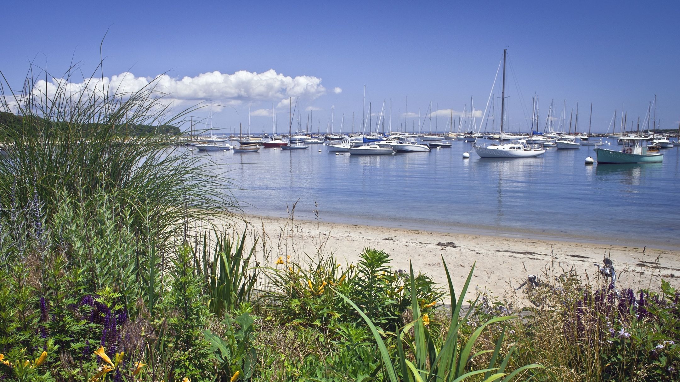 Hotels In Martha s Vineyard Vergleiche Hotels In Martha s Vineyard Ab Hotels in martha s vineyard vergleiche hotels in martha s vineyard ab