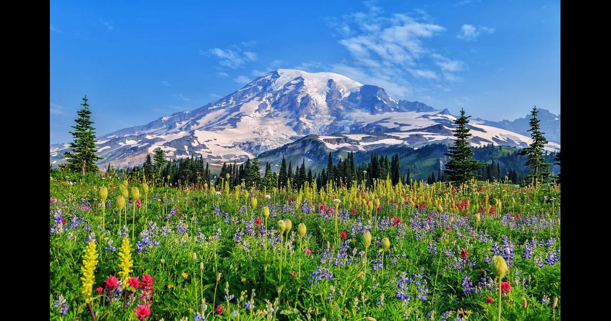 Mount Rainier National Park Hotels Compare Hotels in Mount Rainier National Park from 121